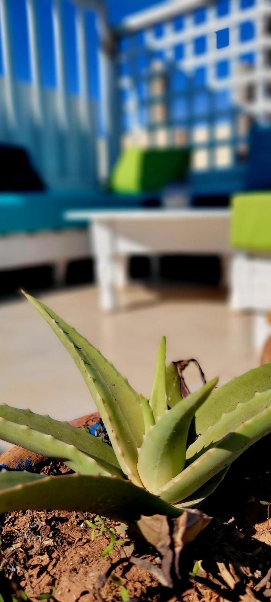 Riad Ocean Medina Есувейра Екстериор снимка